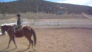 misia and Dusty 2.AVI