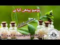 What is a homoeopathy urdu and hindi  the academy of homeopath kahror pakka