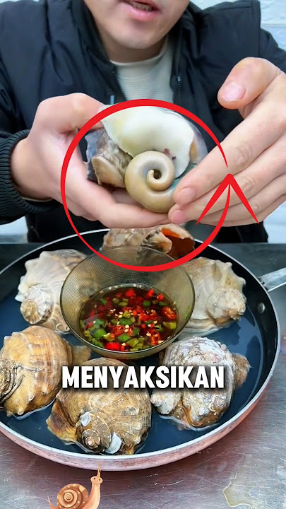 Please Pay Attention When Eating Sea Snails #interestingthings