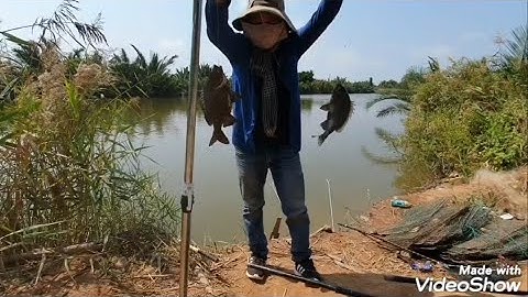 Mùng 4 Tết về Gò Công đông câu cá tráp ( cá hanh ) ...trúng bầy cá khủng 😱😱😱...