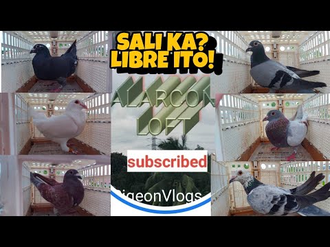 PAMIGAY NA NATIN
