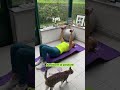 💪5 exercices anti-douleurs à 50 ans💪