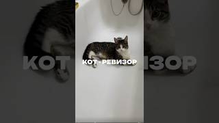 Кот-ревизор. Артикул на пасту WB #234577722 Ozon #1664064287