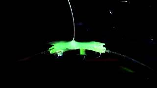 Manta ray inspired soft robotic fish (tethered) screenshot 5