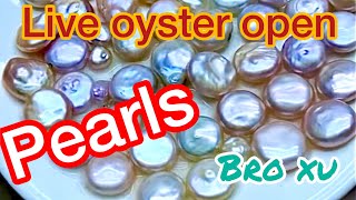 11/24 10 pieces bulk Live oyster Lot hunt for pearls live stream open Pearl Clam in front your eyes