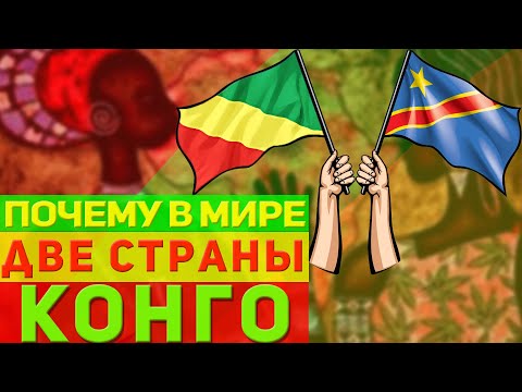 Бейне: Конго какадуының гүлі дегеніміз не - Конго какадуының күтімі туралы біліңіз