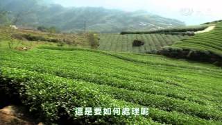 【草根菩提】預告 - 20140131 - 368出去走走 - 山中奇園