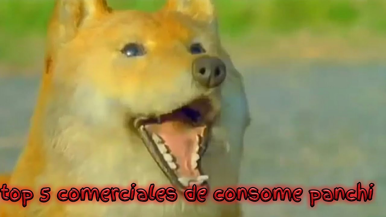 Top 5 comerciales de consome panchi YouTube