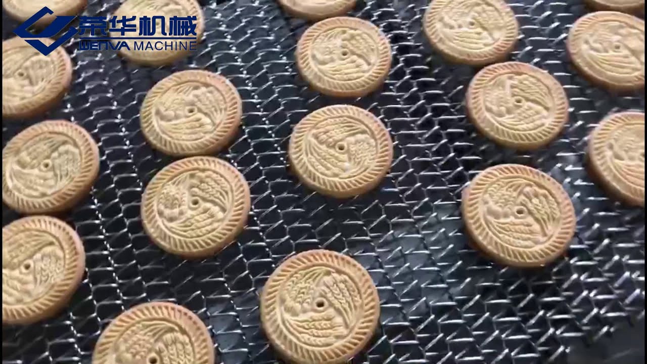 WENVA 1000mm Model Hard & Soft Biscuit Production Line