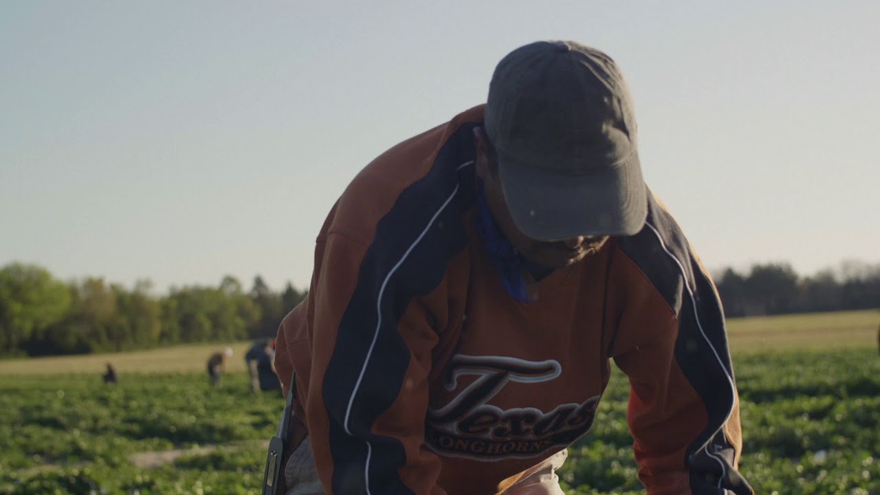 Packaging Solutions for Fresh Produce Supply Chain