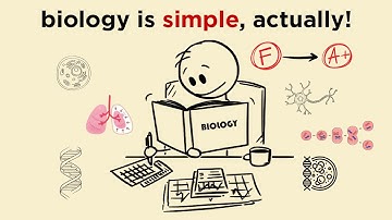 How to study BIOLOGY so FAST that it feels ILLEGAL