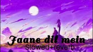 Jaane Dil Mein Kabse Hai Tu | Slow Reverb