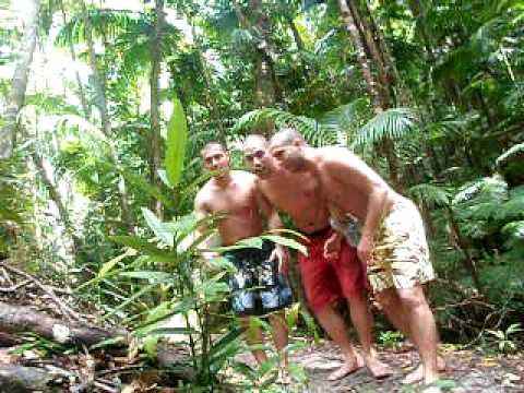 3 Crazy guys gone wild in the Australian rainforest (Fraser Island Trip). Representitives of the University of the Sunshine Coast.