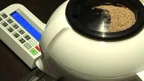 DATA Seed Count S-JR