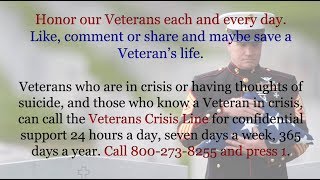 Everybody Hurts - with Lyrics - Veteran's Crisis Line screenshot 5