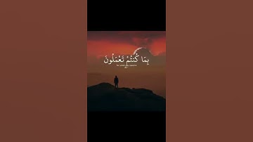 ماتيسر من سورة السجدة 🤍 حالات واتس آب دينيه