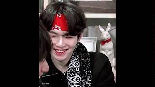 Try not to melt with suga gummy smile compilation