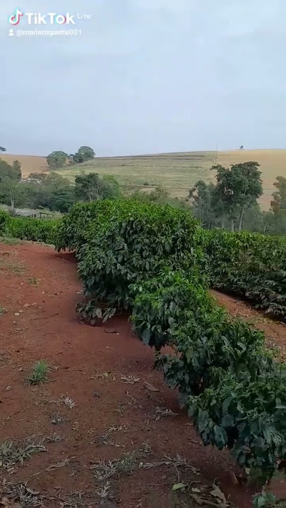 Derrama Senhor sua benção sobre nós
