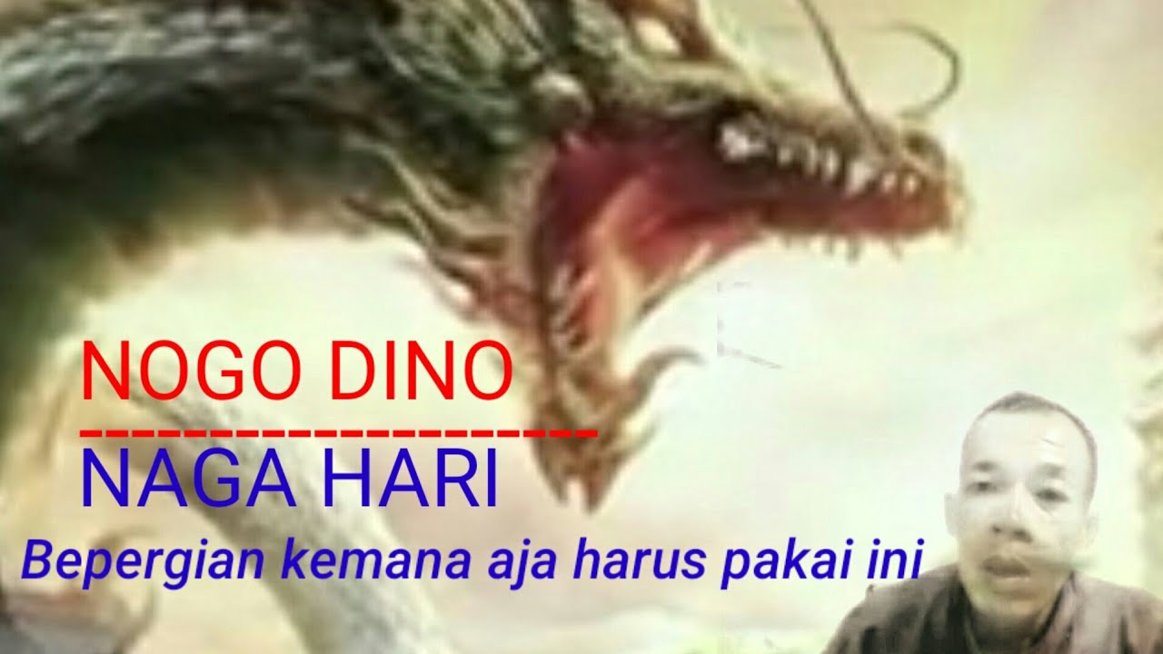 Nogo Dino Lan Pasaran