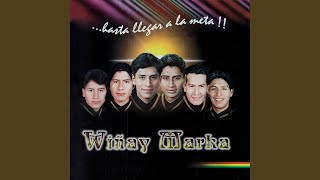 Video thumbnail of "Wiñay Marka - La Flor"