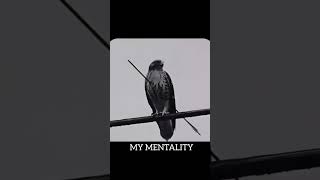 My Mentality 🙂🎯#motivation #success #uppolice #ssc #ytshorts #viral #shorts