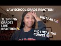Did i beat the curve  reacting to my 1l law school grades