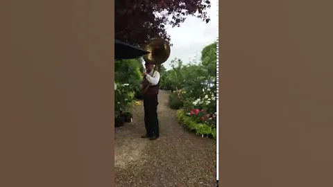 Rose Festival at Rogers Roses Pickering 2016