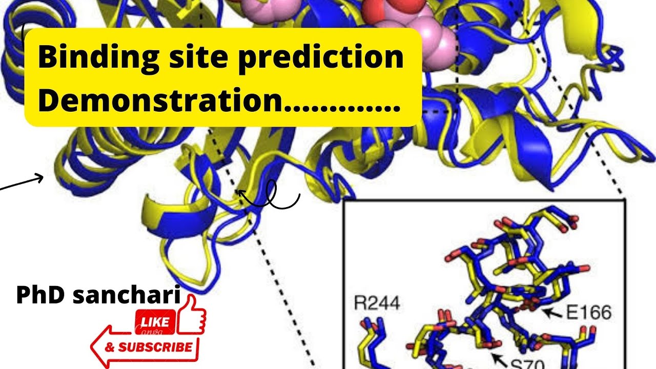 Binding Site Prediction , PepCNN deep learning tool for predicting ...