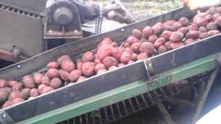 Картофелеуборочный комбайн своими руками фото 710