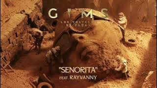 GIMS - SEÑORITA (feat Rayvanny) (Audio Officiel)
