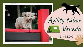 Agility camp | Verada | Lagotto Romagnolo - 13.-15.8.2021 by Kudr Holky 178 views 2 years ago 7 minutes, 33 seconds
