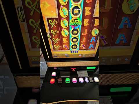 Roobet 4 EVER! #casino #roobet #slot #bigwin