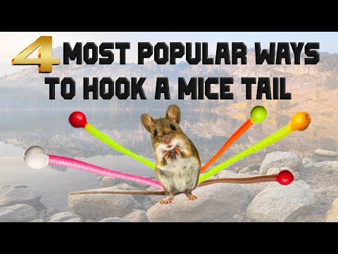 4 MOST POPULAR WAYS TO HOOK A MICETAIL