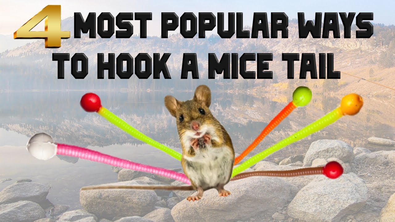 4 MOST POPULAR WAYS TO HOOK A MICETAIL