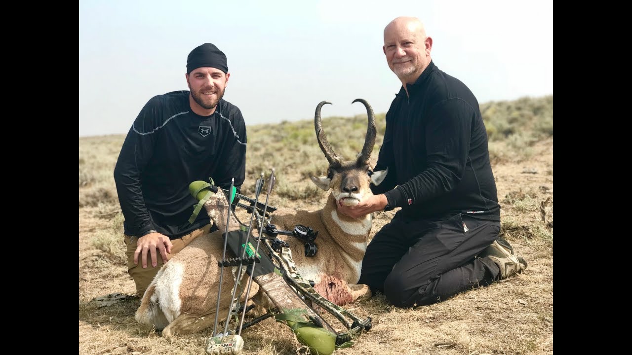 ARCHERY ANTELOPE The Hunt!!! YouTube