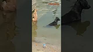 42 डिग्री पार तापमान ने रोकी काशी की रौनक, सूने पड़े घाट, श्रद्धालु मायूस