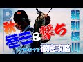 [青木大介]D Channel #012 秋の霞ヶ浦水系の新利根川を舞台に巻き＆撃ちで徹底攻略！！