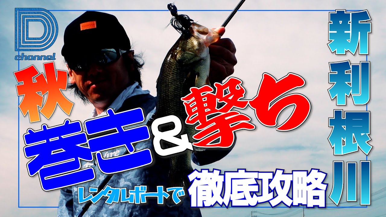 [青木大介]D Channel #012 秋の霞ヶ浦水系の新利根川を舞台に巻き＆撃ちで徹底攻略！！