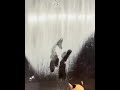 Cat touched a fogged up window and discovered that he could draw.