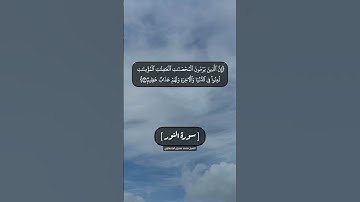 سورة النور الآية ٢٢ الى ٢٤ بصوت الشيخ محمد صديق المنشاوي