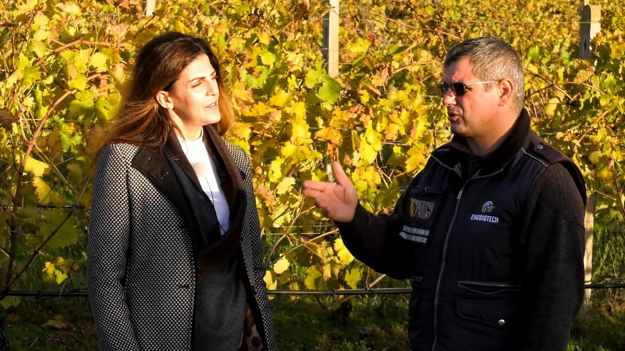 Cru&Terroir Sardegna - Unmaredivino