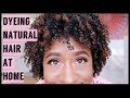 SAFELY Dyeing my NATURAL Hair⎮Winter Noelle Beauty