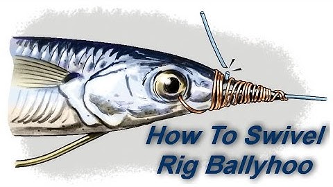 How To Swivel Rig Ballyhoo