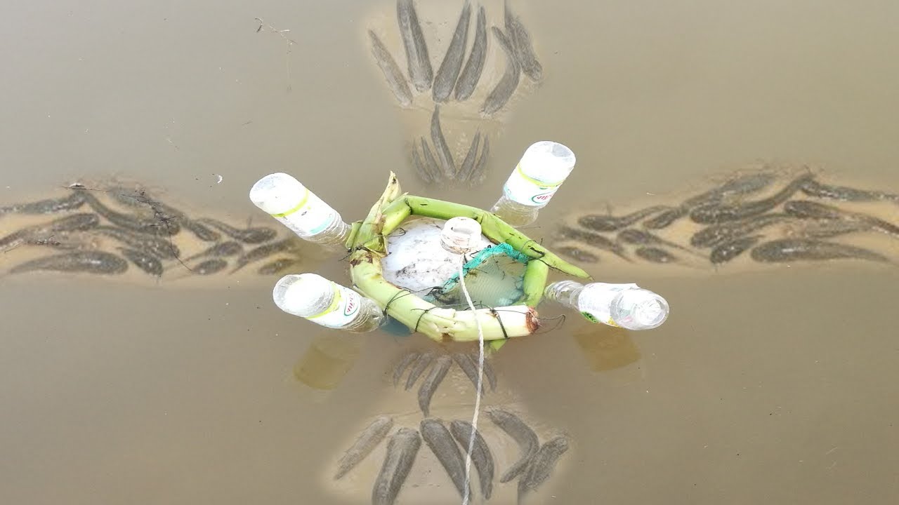 Fishing With Plastic Bottle How To Fishing With Plastic Bottle In