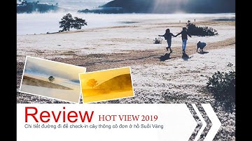 Địa điểm sống ảo HOT nhất đà lạt 2019 - hướng dẫn đường đi cây thông cô đơn chi tiết nhất 2019