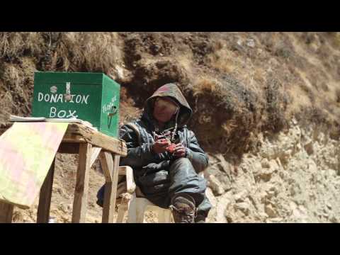 Video: Himalajų kalnų šunys