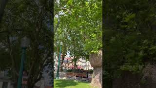 [포르투🇵🇹] 조깅하다가 만난 포르투의 흔한 공원 #포르투갈여행 #포르투갈 #travel