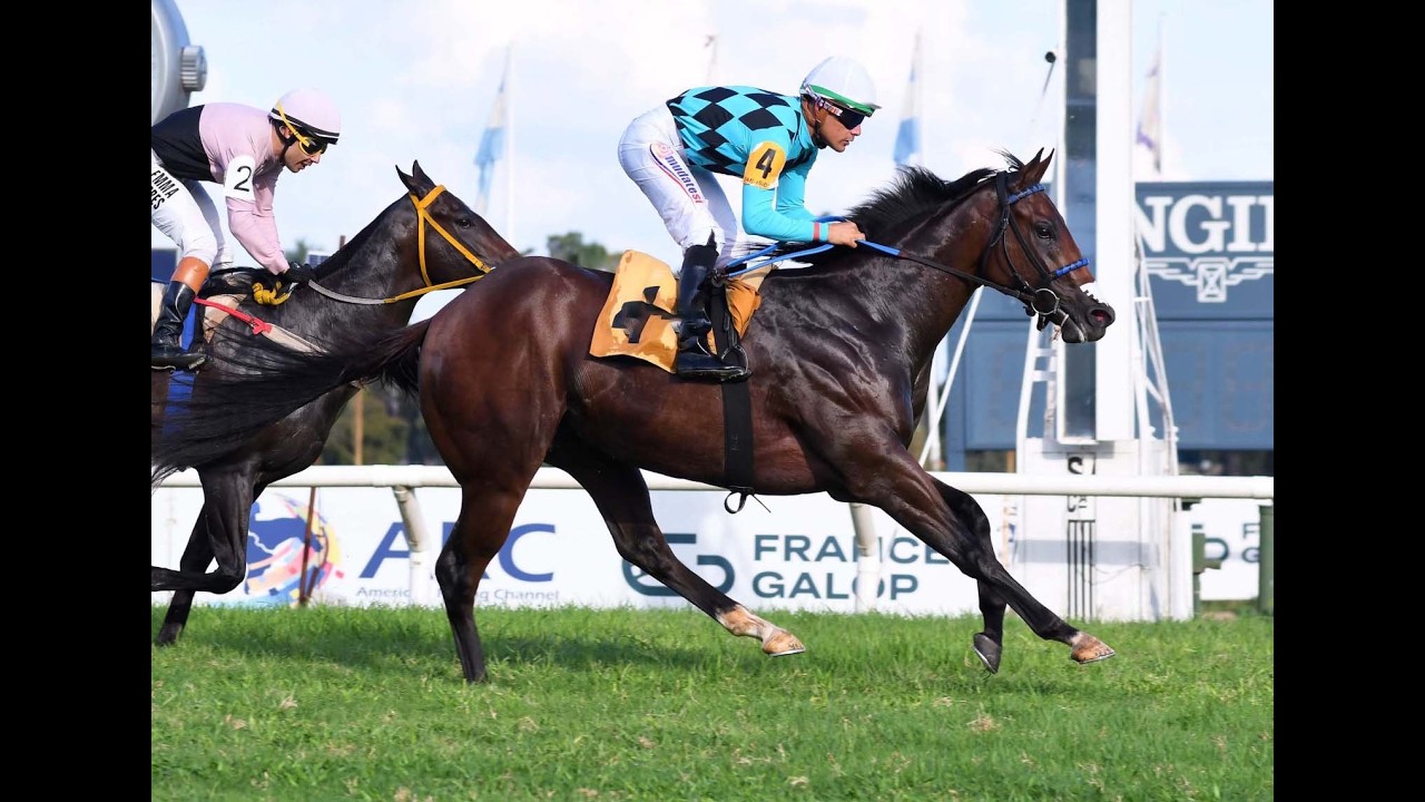 Clásico Islas Malvinas (L) 2026 - Siete Lagos (Full Matt)