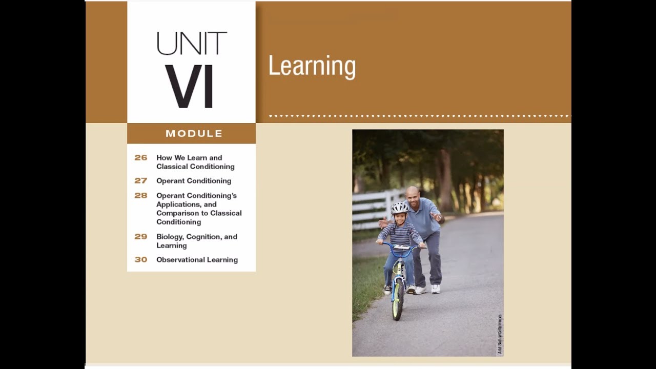 Module 26 How We Learn And Classical Conditioning Answer Key