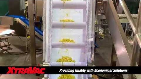 XtraVac Multihead VFFS system packaging 3 pound bags of corn HD